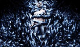 欧美高清视频,视觉盛宴背后的故事与启示